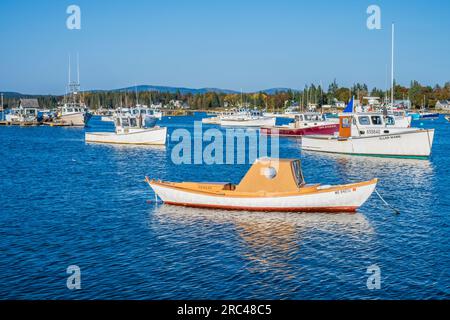 Colore autunnale a Mount Desert Island nel Maine. Foto Stock