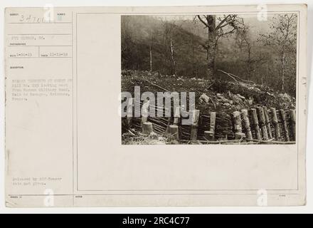 Il privato Gibbon, SC, un fotografo del corpo medico, ha scattato questa foto il 19 novembre 1918. Mostra le numerose trincee tedesche situate sulla cresta della collina n. 283, guardando ad est dalla strada militare tedesca a Bois de Roun gne, Ardennes, Francia. Questa immagine è stata rilasciata dal Censore ABP, anche se la data esatta della censura non è specificata. Foto Stock