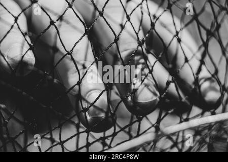 La mano di un uomo in una griglia, foto in bianco e nero da vicino Foto Stock