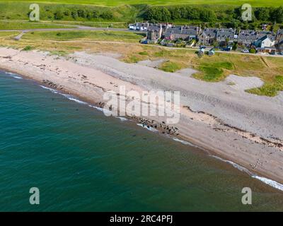 Video aereo di un gruppo di foche sulla spiaggia di Portgordon, Moray, in Scozia Foto Stock