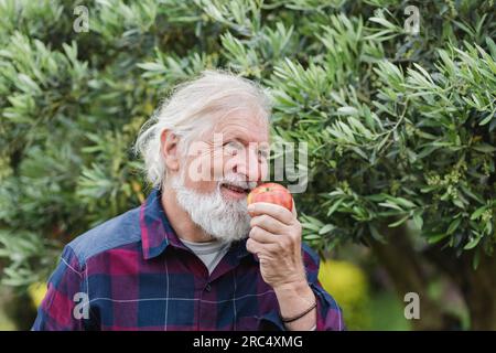 Sorridente maschio barbuto anziano con capelli grigi che guardano lontano mentre si sta in giardino e tiene la mela con la mano vicino alla bocca contro il verde sfocato e lussureggiante tre Foto Stock