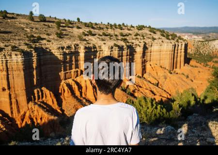 Vista posteriore di un ragazzo escursionista irriconoscibile, in piedi sulla cima del canyon a Rojo Teruel in Spagna Foto Stock
