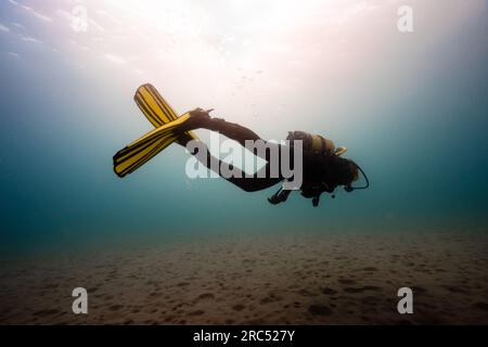 Subacqueo professionista irriconoscibile in muta pinne maschera bombola di ossigeno che nuota sott'acqua a la Herradura, Granada, Spagna, nella zona di luce solare Foto Stock