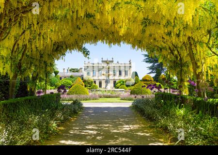 Laburnum Arch Brodsworth hall e giardini nei giardini formali della casa di campagna vittoriana Brodsworth Hall Doncaster South Yorkshire Inghilterra Regno Unito Foto Stock