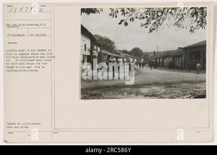 Questa fotografia, numerata 111-SC-27479, catturata dal Sgt.1st.Cl.M.Fineberg, S. C., mostra una vista della strada a Jouy su Argonne. Scattata il 3 ottobre 1918, l'immagine raffigura la direzione orientale, dove si trovava il quartier generale della 79th Division. La città di Jouy è stata disabitata dai civili dall'inizio della guerra. La fotografia è stata approvata dall'A.E.F. Censore, e note aggiuntive sull'immagine sono registrate come 27479. Foto Stock