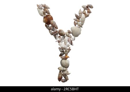 Lettera Y, idea di concetto estate. Lettera Y realizzata con guscio marino isolato su sfondo bianco. Foto Stock