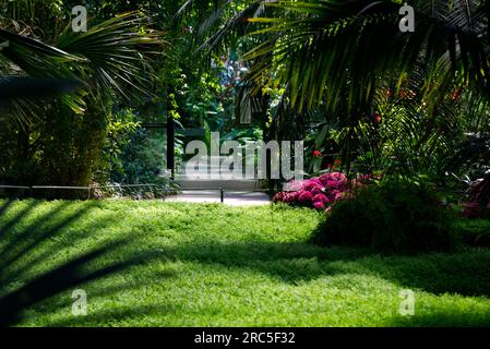 All'interno di una casa tropicale Foto Stock