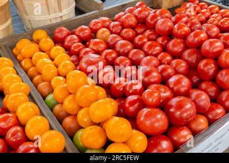 Shot orizzontale di bellissimi pomodori rossi e gialli freschi presso un cesto di frutta. Foto Stock