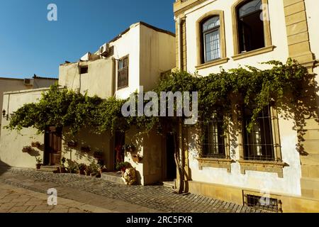 Baku, Azerbaigian - 25 giugno 2023: Vista di un giorno di un edificio storico coperto di edera nella zona di Icheri Sheher a Baku Foto Stock