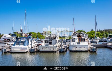 Martina sul lago Superior con il Best Western Hotel Chequamegon sullo sfondo ad Ashland, Wisconsin, USA Foto Stock