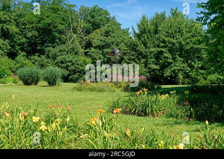 Un bellissimo paesaggio colorato pieno di fiori fioriti, molti gigli di giorno in alcuni letti da giardino con un rustico mulino a vento per l'arredamento e boschi nel b Foto Stock