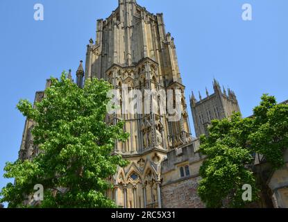 Vista verso la cattedrale di Wells, Wells, Somerset, Inghilterra. REGNO UNITO. 15 giugno 2023 Foto Stock