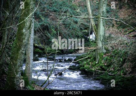 Splendide riprese panoramiche del paesaggio nel North Yorkshire Foto Stock