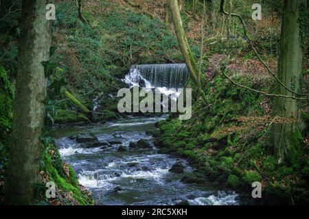 Splendide riprese panoramiche del paesaggio nel North Yorkshire Foto Stock