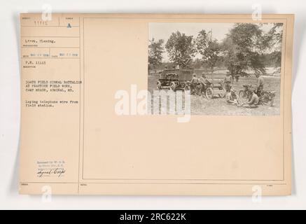Una fotografia del tenente Fleming e del 304th Field Signal Battalion a Camp Meade, Maryland, scattata il 20 maggio 1918 durante la prima guerra mondiale L'immagine mostra che si esercitano a posizionare il cavo telefonico da una stazione sul campo. La fotografia è stata rilasciata da W.C.D. alla Photo Division del Signal Corps, previa approvazione. Foto Stock