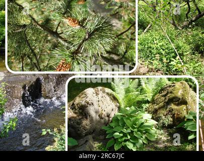 Il giardino botanico principale di Mosca di Tsitsin (russo) è uno dei più grandi giardini botanici d'Europa. Copre un'area di ​​about 3,61 km² Foto Stock