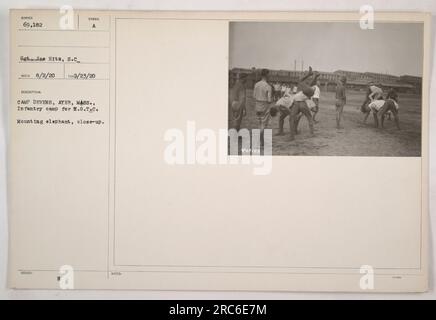 I soldati a Camp Devens ad Ayer, Massachusetts, partecipano all'addestramento ROTC. In questo primo piano, un soldato viene visto montare un elefante. La fotografia è contrassegnata con il numero 69.182, e fa parte di una serie che cattura attività militari durante la prima guerra mondiale Foto Stock