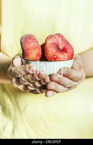 Una ciotola di porcellana blu con frutta paraguaiana nelle mani di una persona Foto Stock