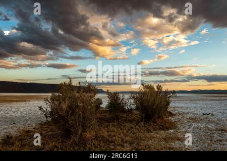 Tramonto sul lago Abert, una mecca per gli uccelli migratori. Il suo futuro è a rischio per molte ragioni. Foto Stock