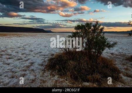 Tramonto sul lago Abert, una mecca per gli uccelli migratori. Il suo futuro è a rischio per molte ragioni. Foto Stock