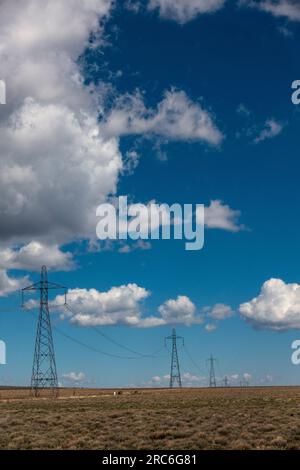 Le linee elettriche ad alta tensione attraversano la steppa di pennelli lungo il soffice Cutoff tra Lakeview e Plush, Oregon. Foto Stock