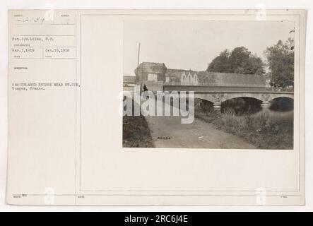 Soldato J.M. Liles del corpo dei segnali degli Stati Uniti è raffigurato su un ponte mimetico a St. Die, Vosges, Francia. La foto è stata scattata il 19 ottobre 1918. Foto Stock