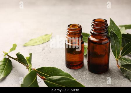 Bottiglie di olio essenziale di alloro e foglie fresche su tavola grigio chiaro Foto Stock
