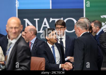 Vilnius, Lituania. 12 luglio 2023. Il primo ministro del Regno Unito Rishi Sunak (centrale) arriva alla riunione del Consiglio NATO-Ucraina a livello di capi di Stato e di governo durante il vertice ad alto livello della NATO nel Centro conferenze di Litexpo. L'agenda del vertice riguarda l'offerta dell'Ucraina di aderire all'organizzazione, il processo di adesione della Svezia, il potenziamento delle scorte di armi e la revisione dei piani di difesa. Credito: SOPA Images Limited/Alamy Live News Foto Stock