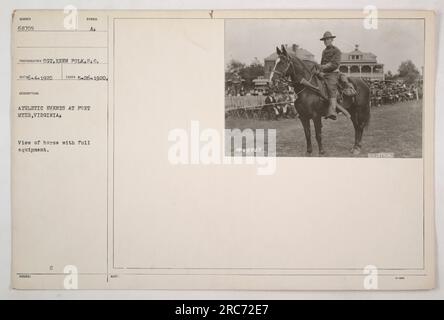 Un cavallo con equipaggiamento completo ad un evento atletico che si tiene a Fort Myer, Virginia. Questa foto è stata scattata il 26 maggio 1920 dal sergente Kern Polk del Signal Corps. Il cavallo è visto preparato e pronto per la partecipazione a varie attività militari". Foto Stock