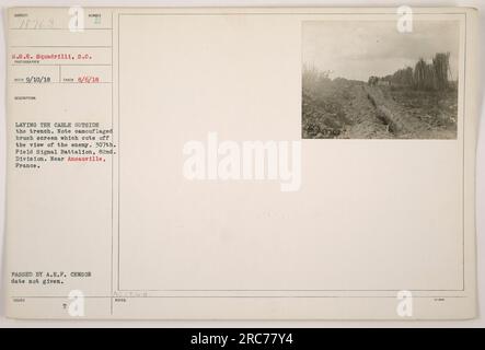 I soldati del 307th Field Signal Battalion, parte della 82nd Division, sono visti mentre posavano cavi fuori da una trincea vicino ad Ansauville, in Francia. La foto mostra uno schermo a pennello mimetico che blocca la visuale del nemico. Data di rilascio e approvazione censura non fornite. Foto Stock