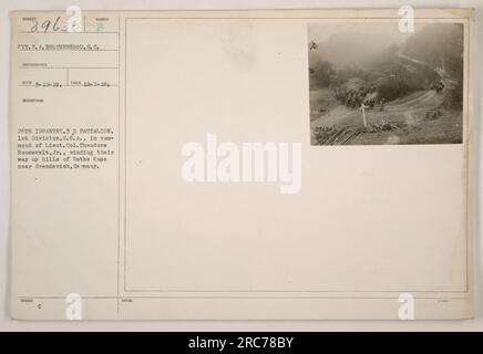 I soldati del 26th Infantry, 3rd Battalion, 1st Division, U.S.A., guidati dal tenente colonnello Theodore Roosevelt Jr., si dirigono sulle colline di Rothe Kope vicino a Grenderich, in Germania. Fotografia scattata dal soldato E. A. Brotherhood, S.C. Fotografo registrato il 12 marzo 1919. Immagine rilasciata con il numero di identificazione 39636. Foto Stock