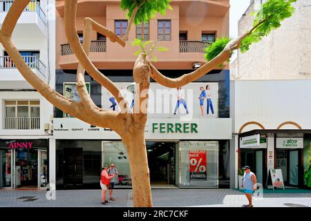 Lanzarote, Isole Canarie, Arrecife, fronte mare, albero dalla forma insolita nella principale area dello shopping Foto Stock