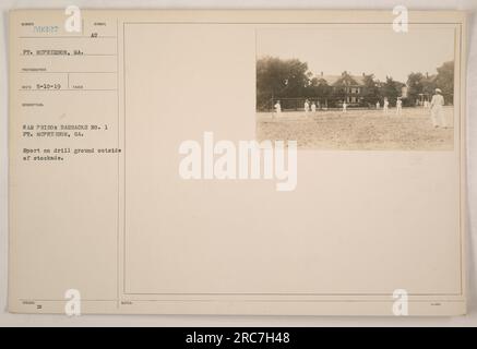 Soldati che partecipano ad attività sportive sul terreno di perforazione all'esterno della caserma penitenziaria di guerra n. 1 a ft. McPherson, Georgia. La fotografia, numerata 59327, è stata scattata e ricevuta dal fotografo il 10 maggio 1919. Foto Stock