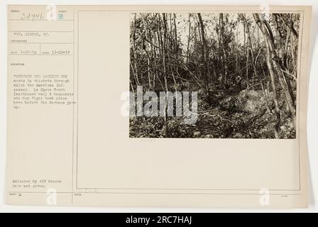 Il privato Gibbon, un fotografo della Carolina del Sud, ha catturato questa immagine il 22 novembre 1918. La fotografia mostra trincee e nidi di mitragliatrici incastonati in boschetti, che sono stati attraversati con successo dalla fanteria americana. In particolare, questo luogo è noto come l'estremità nord-est di le Cheve Tondu, dove si svolse una battaglia di sei giorni prima della resa delle forze tedesche. Questa immagine è stata pubblicata dalla AEP ma non è stata fornita alcuna data per la pubblicazione della censura. Foto Stock