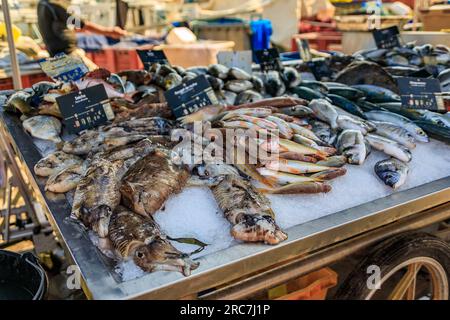 Seppie appena pescate e triglie rosse a strisce, esposte al mercato del pesce nella città vecchia o a Vieil Antibes, nel sud della Francia Foto Stock