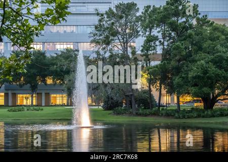 Fontana all'ingresso della Mayo Clinic di Jacksonville, Florida. (USA) Foto Stock