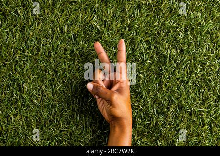 Primo piano della mano di un uomo birazziale che mostra il segno di pace con uno spazio per la copia su fondo erboso Foto Stock