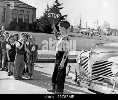 Stati Uniti: c. 1948 Una guardia di attraversamento scolastico tiene il suo segno alto in modo che i bambini più piccoli non attraversino la strada fino a quando non avrà dato loro il cartello della passeggiata. Foto Stock