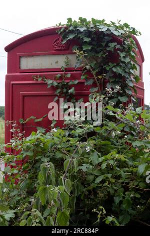 Dettaglio di una vecchia cabina telefonica rossa di tipo K6 su una corsia di campagna con ivy che sale sopra di essa, suggerendo il declino dei servizi pubblici Foto Stock