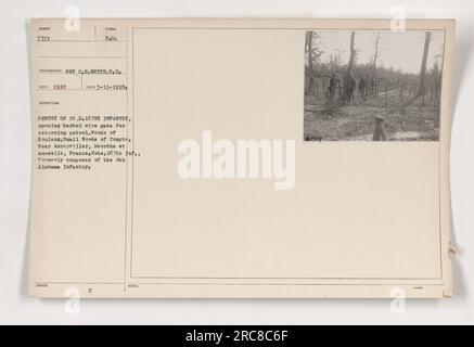 Sentry of Co. H, 167th Infantry, aprendo il cancello spinato per la pattuglia di ritorno nel bosco di Bouleux. Il 167th Infantry, precedentemente composto dal 4th Alabama Infantry, condusse attività militari nei pressi di Ancerviller, Meurthe et Moselle, in Francia. Immagine numero 7739 nella collezione. Foto Stock