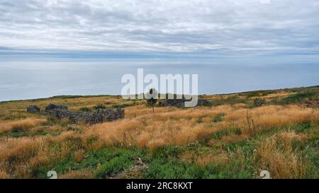 Rovine del villaggio Badbea Highland Clearances Foto Stock