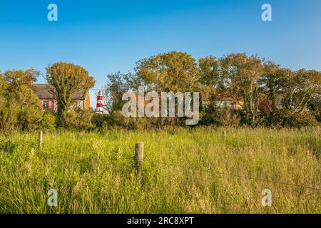 Faro di Happisburgh sulla costa del Norfolk, visto attraverso un varco in una siepe. Foto Stock