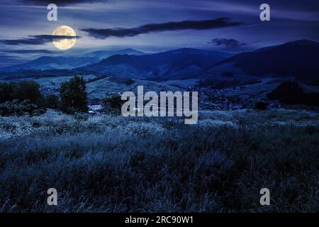 Prato con erbe selvatiche su una collina di fronte all'insediamento in montagna di notte. splendido paesaggio di campagna in piena luna Foto Stock