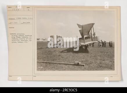 Aereo Caproni, circa 1917, che mostra varie caratteristiche tra cui superfici delle ali centrali, alette, timoni, ascensori, dettagli di costruzione, fusoliera, motori e freni. Questa fotografia è stata scattata dal Signal Corps, U.S.A e fa parte di una collezione di attività militari americane durante la prima guerra mondiale. L'immagine è identificata come 111-SC-1289 ed è stata pubblicata nel novembre 1918. Foto Stock