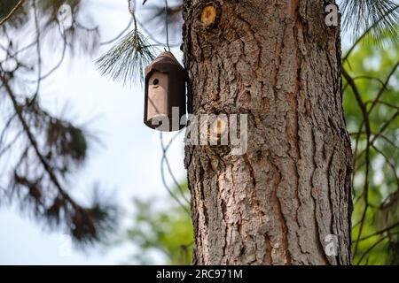 Vista di una scatola di uccelli appesa a un albero a Bonn in Germania Foto Stock