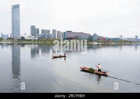 (230713) -- CHENGDU, 13 luglio 2023 (Xinhua) -- i lavoratori raccolgono impianti idrici sul lago Xinglong nella nuova area di Tianfu, nella provincia del Sichuan della Cina sud-occidentale, 21 settembre 2022. Il fiume Jinjiang attraversa la parte centrale di Chengdu, contribuendo alla fama e al fascino dei molti eventi storici e culturali di Chengdu. Ha due corsi d'acqua principali chiamati fiume Fuhe e fiume Nanhe. Partendo da Dujiangyan, il fiume di 150 km va in uscita dal distretto di Shuangliu. Nel febbraio del 2016, il governo locale di Chengdu ha implementato dieci regolamenti sul controllo delle acque. Nel 2017, la città ha iniziato un programma sull'ecologia dell'acqua ma Foto Stock