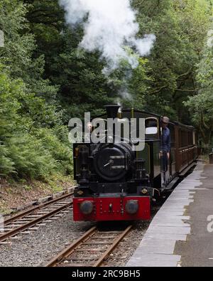 La locomotiva a vapore a scartamento ridotto della Tallyllyn Railway, Tom Rolt, dirige un treno alla stazione di Abergwynolwyn Foto Stock