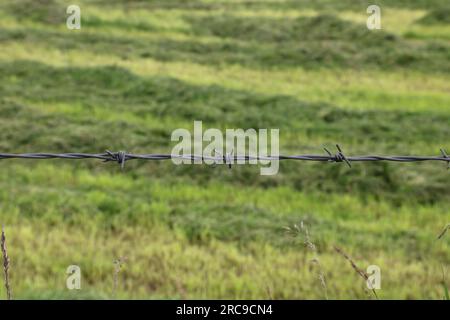 Primo piano di un singolo filo spinato in una recinzione di localizzazione di terreni agricoli Foto Stock