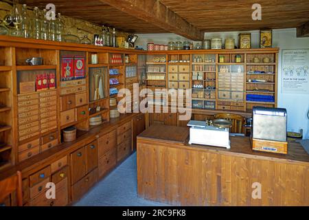 Freilichtmuseum, Bauernhofmuseum, Skanzen, Szentendrei Szabadtéri Néprajzi Múzeum, Region Oberungarn, Marktflecken, Felföldi Mezöváros, Kaufmannsladen Foto Stock