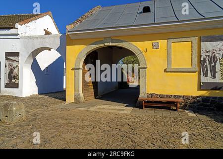 Freilichtmuseum, Bauernhofmuseum, Skanzen, Szentendrei Szabadtéri Néprajzi Múzeum, Region Oberungarn, Marktflecken, Felföldi Mezöváros, Häuser Foto Stock